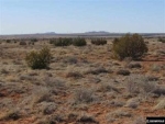 4.2 mile old woodruff rd Concho, AZ 85924 - Image 1513697