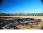 3 COUNTY LINE RD Ravenel, SC 29470 - Image 1516675