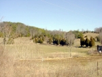 TRACT 6 PLEASANT RIDGE RD. #N/A Talbott, TN 37877 - Image 1519128