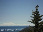 42080 Ness Circle Homer, AK 99603 - Image 1521293