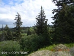 Tr. 8B West Highlands Boulevard Homer, AK 99603 - Image 1522053