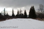 181 E Bayview Avenue Homer, AK 99603 - Image 1522050