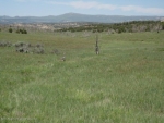 Lot 2 Rbcr 71 Meeker, CO 81641 - Image 1524839