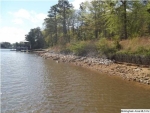 CLEAR CREEK DR 4 Alpine, AL 35014 - Image 1524975