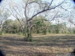 100 Acres FM 539 La Vernia, TX 78121 - Image 1525728