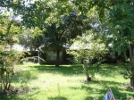 292 County Road 446 Quitman, MS 39355 - Image 1526285