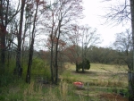 0 hwy 47 Blountsville, AL 35031 - Image 1531732