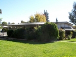 2041 Dalis Dr Concord, CA 94520 - Image 1531902