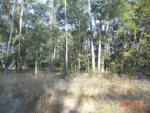 LOT 2 PALMETTO RD Edisto Island, SC 29438 - Image 1535136