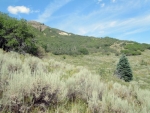 TBD RCR 37 Hayden, CO 81639 - Image 1535303