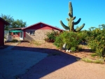 284 S Zimmer Ln Payson, AZ 85541 - Image 1536811