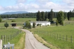 11719 E Blanchard Rd Elk, WA 99009 - Image 1538398