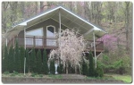 601 Doran Hollow Rd Blountville, TN 37617 - Image 1538635