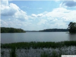 EASTLAND DR 1 Lincoln, AL 35096 - Image 1543307