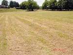 lot 8 Judson Road Strawberry Plains, TN 37871 - Image 1545314