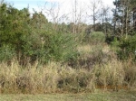 Lot 13 Old Rosebud Trail Mount Pleasant, SC 29466 - Image 1546831