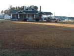 6059 Mount Pleasant Rd Bailey, NC 27807 - Image 1547638