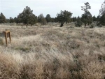 LOT 66 PRONGHORN ESTATES Bend, OR 97701 - Image 1549881