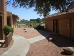 2121 W Royal Palm Rd Apt 1054 Phoenix, AZ 85021 - Image 1550814