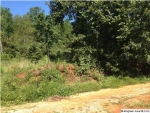 Ranch Marina Road, #3/4 Pell City, AL 35128 - Image 1551014