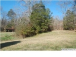 18761 Remlap Dr Remlap, AL 35133 - Image 1551013