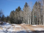 104 Rainbow Ct. Divide, CO 80814 - Image 1551340