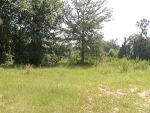 Lee Rd 2166 Smiths Station, AL 36877 - Image 1551899