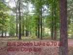 Lot 11 Cardinal Terrace Bull Shoals, AR 72619 - Image 1553033