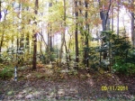 2356 MAYFLOWER DR LOT 2359 Greenbackville, VA 23356 - Image 1553383