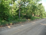 8 Acres Stephens Rd Imboden, AR 72434 - Image 1553941