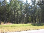 LOT 27 BLANDING RIDGE Columbia, SC 29223 - Image 1554135