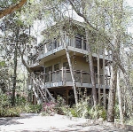 142 Park Avenue Sopchoppy, FL 32358 - Image 1554272