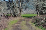 0 Crescent Valley Dr Corvallis, OR 97330 - Image 1555210