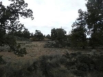 LOT 160 PRONGHORN ESTATES PHASE 2 Bend, OR 97701 - Image 1557447