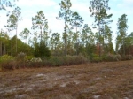 Land  Lot 86 Third L Jesup, GA 31546 - Image 1558887