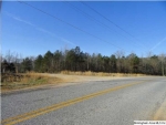 RUSHING SPRINGS RD 0 Lincoln, AL 35096 - Image 1563573