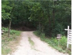 Lot 1 &amp; Z Lowel Point Subdivision Eureka Springs, AR 72631 - Image 1573306