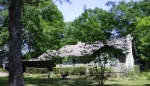 323 Timbers Dr Dothan, AL 36301 - Image 1576950