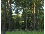 Lot 2 East Bluff Road Eureka Springs, AR 72631 - Image 1578845