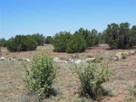 2155 Supancheck Show Low, AZ 85901 - Image 1578827