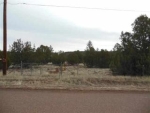 1059 Old Highway 160 Show Low, AZ 85901 - Image 1578828