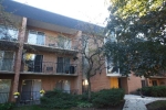 1052 N Mill St Apt 202 Naperville, IL 60563 - Image 1610371