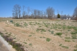 0 Golf Trail Ridge Lot # 21 Muscle Shoals, AL 35661 - Image 1617434