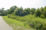 Lot 19 Sloop Point Plantation Apn# Hampstead, NC 28443 - Image 1620389