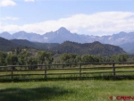 4200 County Road 24 Ridgway, CO 81432 - Image 1625823