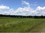 0 CO RD 358 Crane Hill, AL 35053 - Image 1632490