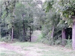 1127 CLEAR CREEK RD Evensville, TN 37332 - Image 1633490