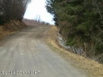 5728 Scenic Place Homer, AK 99603 - Image 1636004