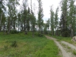 L42 Authentic Road Soldotna, AK 99669 - Image 1637291