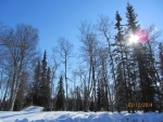 38204 Tower Park Court Soldotna, AK 99669 - Image 1637295